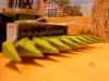 jag880_8reiher_03.jpg (108618 Byte)